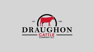 New 6.5 wide King Kutter Disc