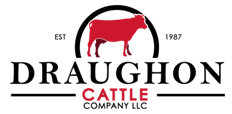 Draughon Cattle Company